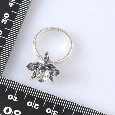 シルバーリング