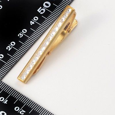 シルバータイピン