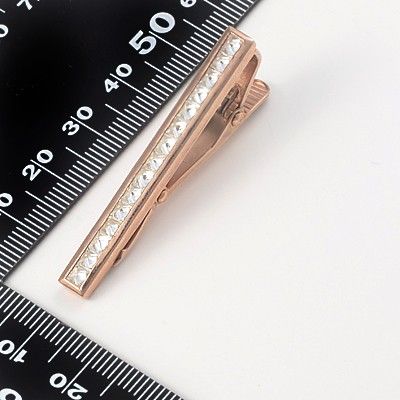 シルバータイピン