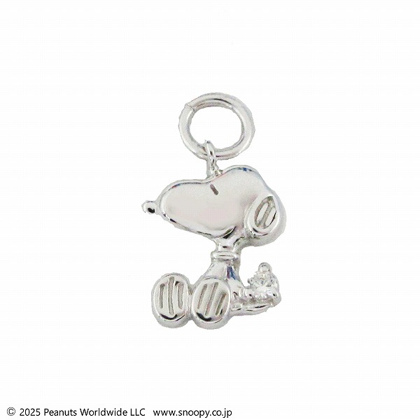 シルバーピアスチャーム