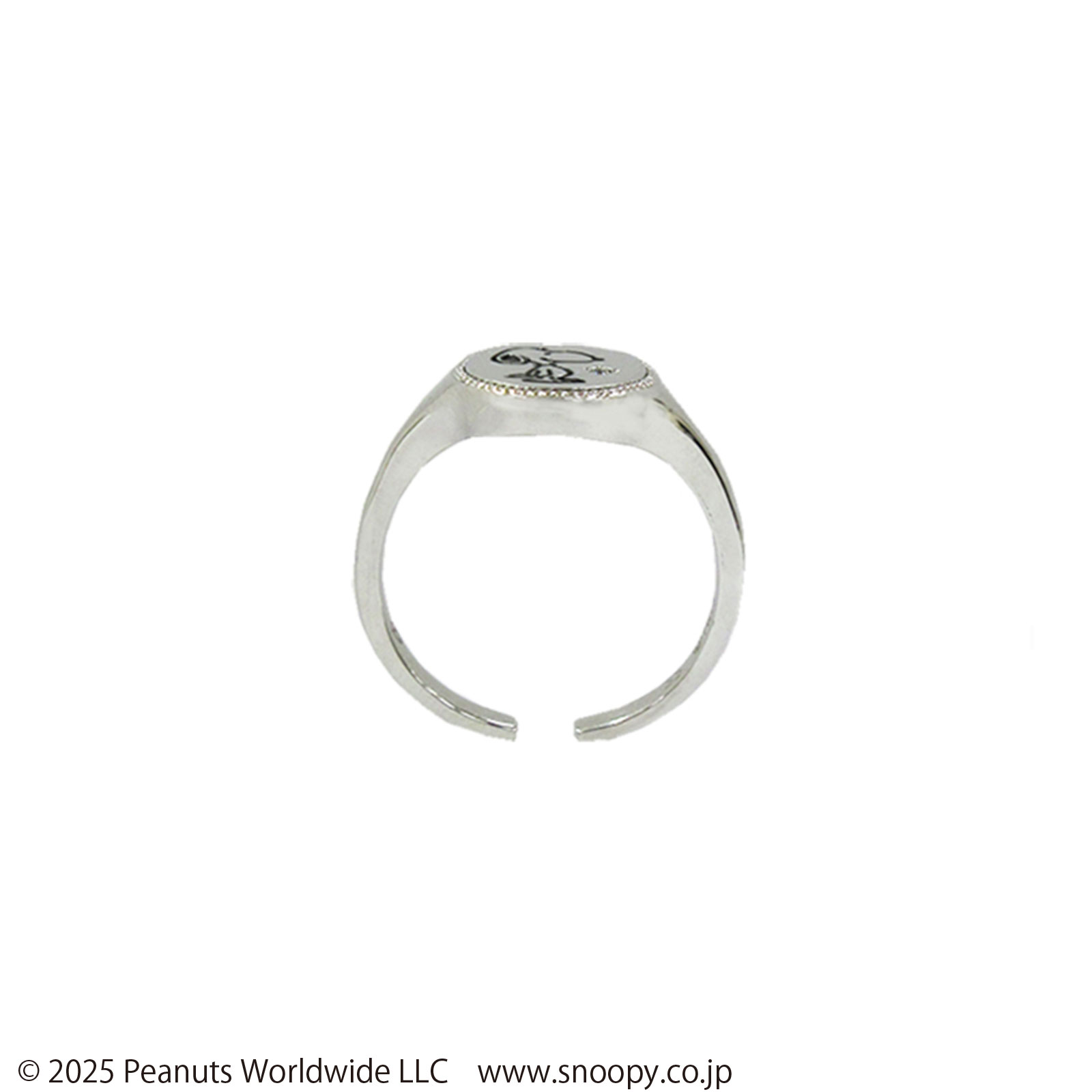 ステンレスリング