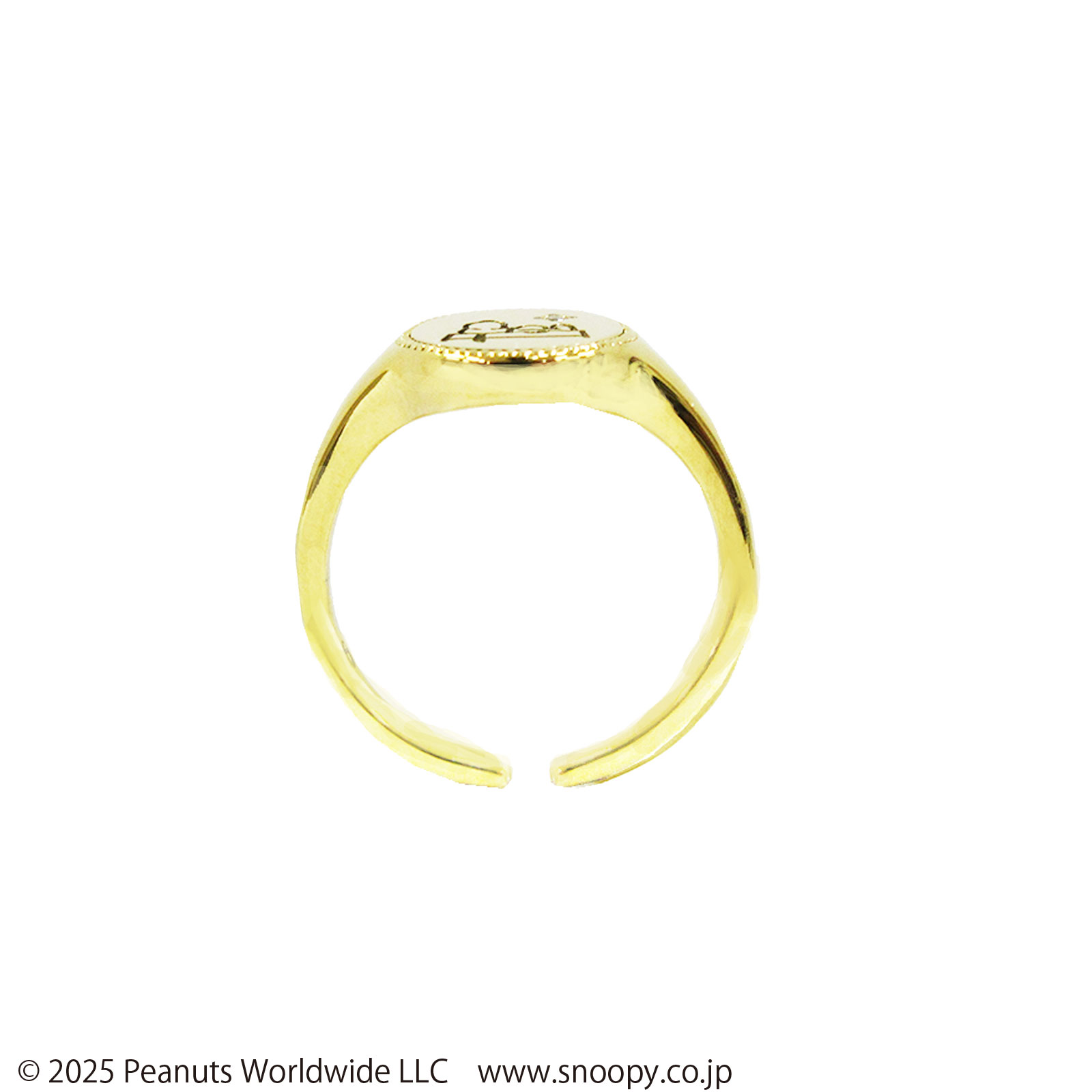 ステンレスリング