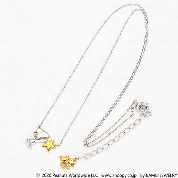 シルバーネックレス&ピアスセット