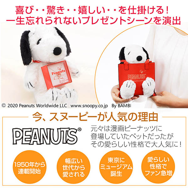 シルバーネックレス&ピアスセット