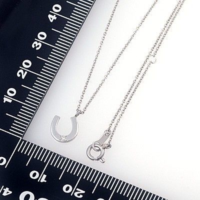 プラチナネックレス