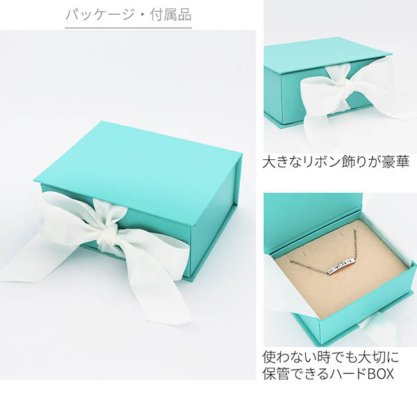 サージカルステンレスアンクレット