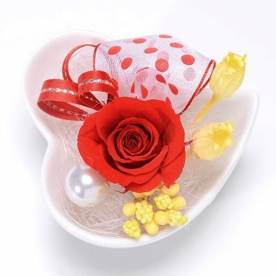 プリザーブドフラワー 花器アレンジ レッド「プチハート」