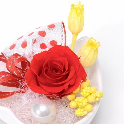 プリザーブドフラワー 花器アレンジ レッド「プチハート」