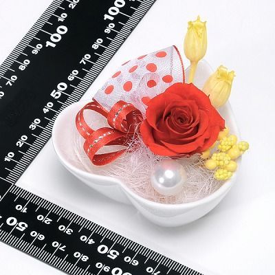 プリザーブドフラワー 花器アレンジ レッド「プチハート」