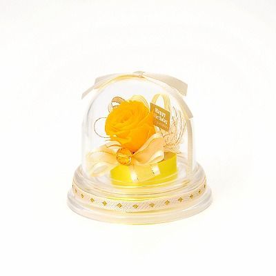 誕生日 プリザーブドフラワー ドームアレンジ 11月