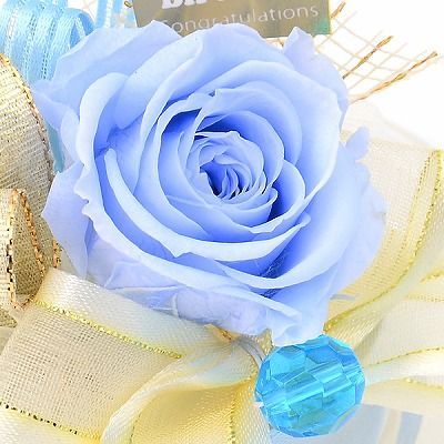 誕生日 プリザーブドフラワー ドームアレンジ 3月