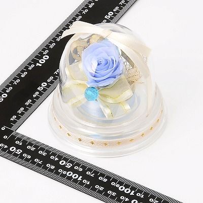 誕生日 プリザーブドフラワー ドームアレンジ 3月