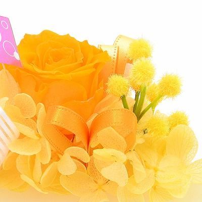 誕生日 フラワーケーキ プリザーブドフラワー オレンジ