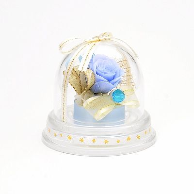 誕生石3月 プリザーブドフラワー