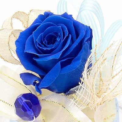 誕生石9月 プリザーブドフラワー