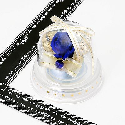 誕生石9月 プリザーブドフラワー