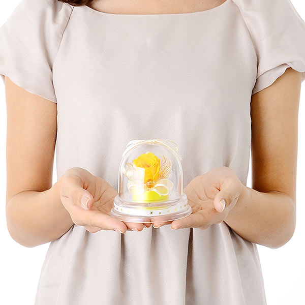 ハンカチ&プリザーブドフラワーセット メッセージカードとラッピング付