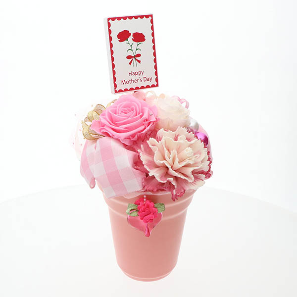母の日プリザーブドフラワー ギフト ピンク バラ カーネーション (ケース付)
