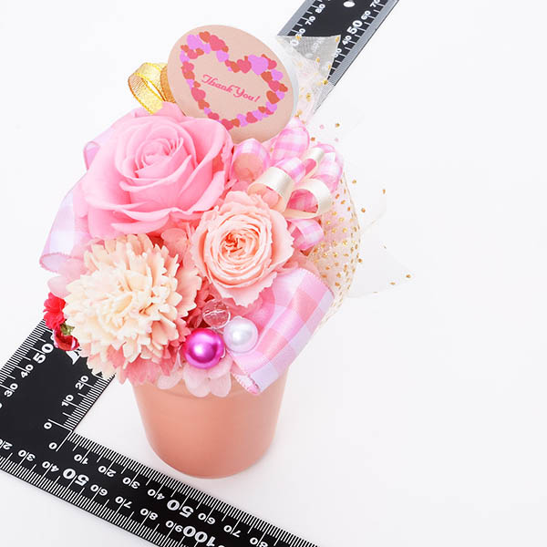 母の日プリザーブドフラワー ギフト ピンク バラ カーネーション (ケース付)