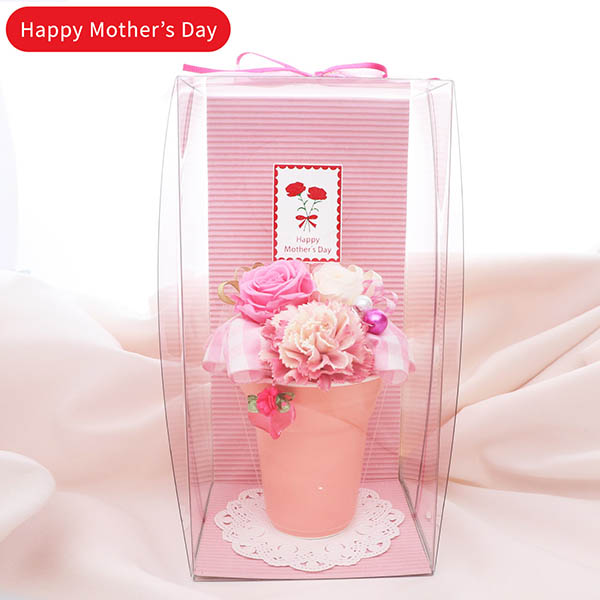 母の日プリザーブドフラワー ギフト ピンク バラ カーネーション (ケース付)