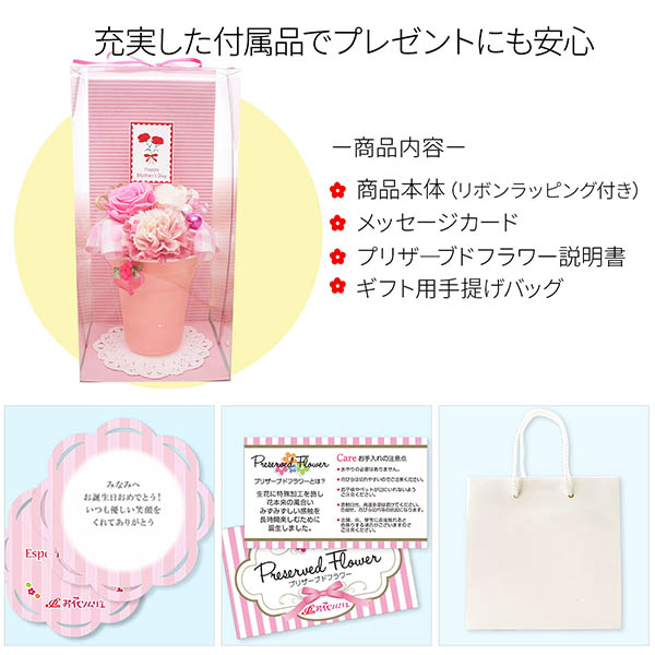 母の日プリザーブドフラワー ギフト ピンク バラ カーネーション (ケース付)