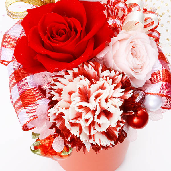 母の日プリザーブドフラワーレッド(そのまま飾れるケース付き)