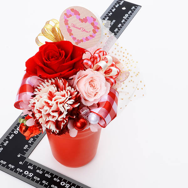母の日プリザーブドフラワーレッド(そのまま飾れるケース付き)