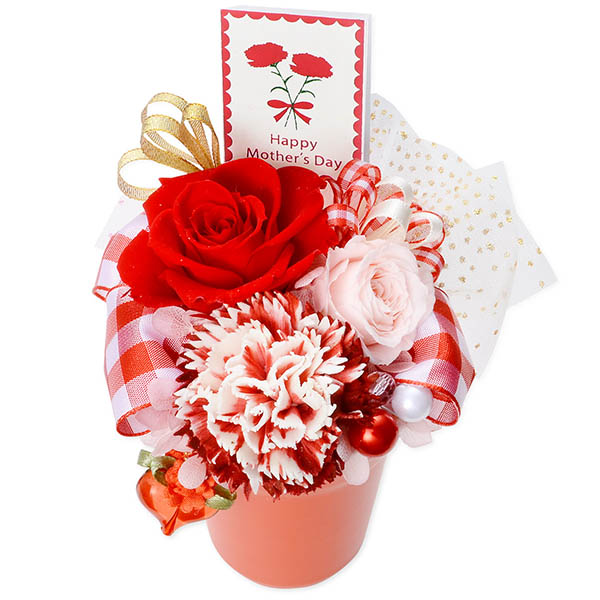 誕生日 人気ペンダント&プリザーブドフラワー セット