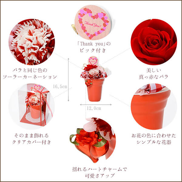 誕生日 人気ペンダント&プリザーブドフラワー セット