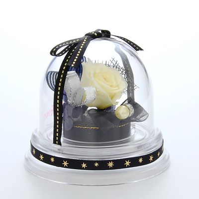 誕生日 プリザーブドフラワー ドームアレンジ 6月 ブラック