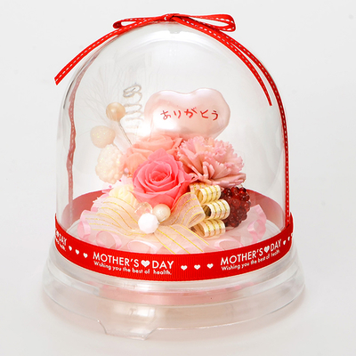 母の日 プリザーブドフラワー ラッピング付き