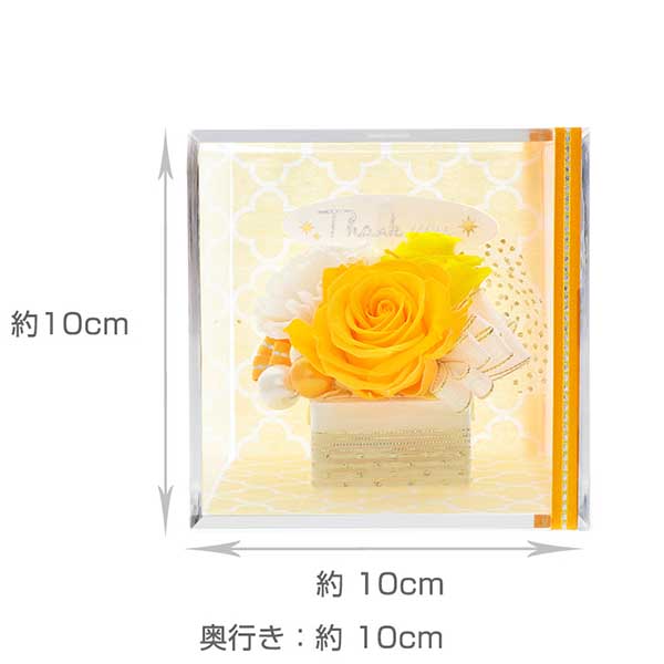 父の日 ”Thank You”ピック付 プリザーブドフラワー イエロー