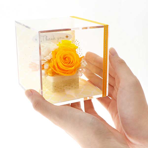 父の日 ”Thank You”ピック付 プリザーブドフラワー イエロー