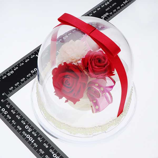 記念日 プリザーブドフラワー レッド 選べるリボン