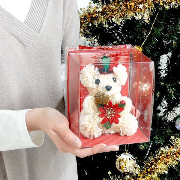 クリスマス フラワー ポインセチア　おすわりベア