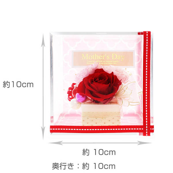 母の日 プリザーブドフラワー キューブ (メッセージカード付)