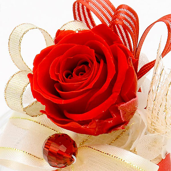 マリークヮントハンカチ&プリザーブドフラワーセット(ラッピング付き)