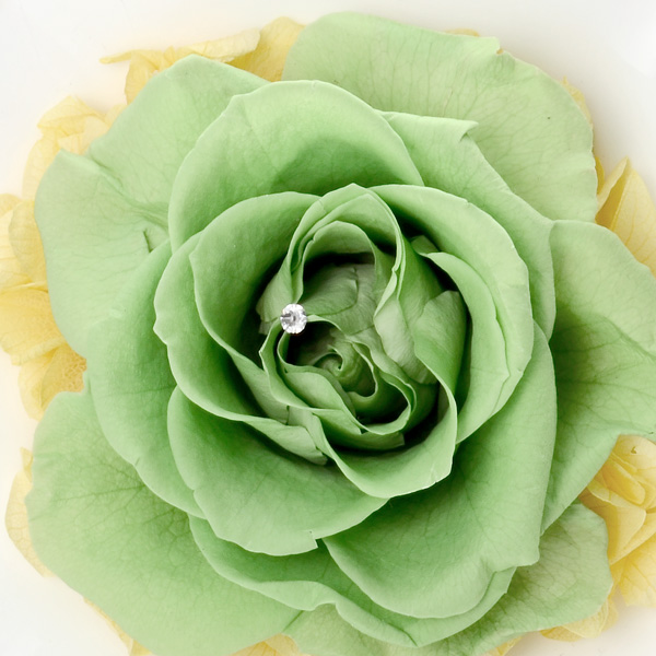 お祝い ローズ プリザーブドフラワー グリーン