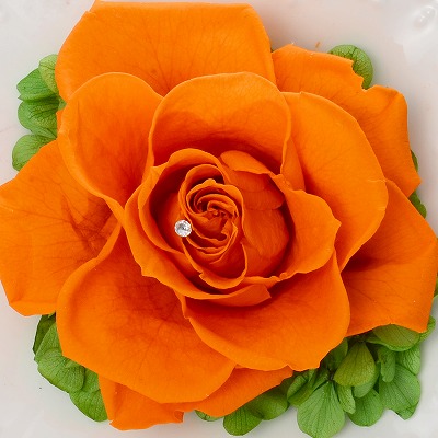 お祝い ローズ プリザーブドフラワー オレンジ