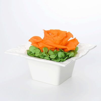 お祝い ローズ プリザーブドフラワー オレンジ