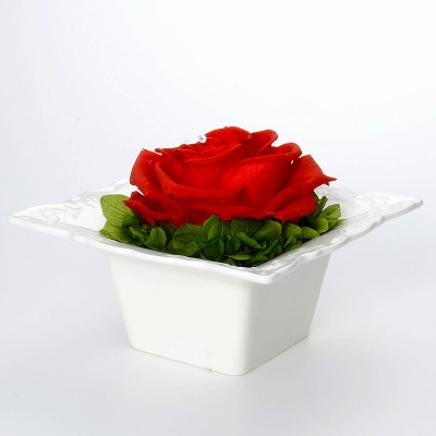 お祝い ローズ プリザーブドフラワー レッド
