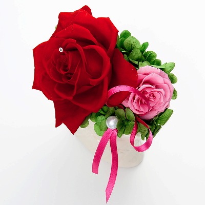 お祝い ローズ プリザーブドフラワー レッド