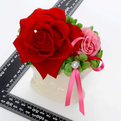 お祝い ローズ プリザーブドフラワー レッド