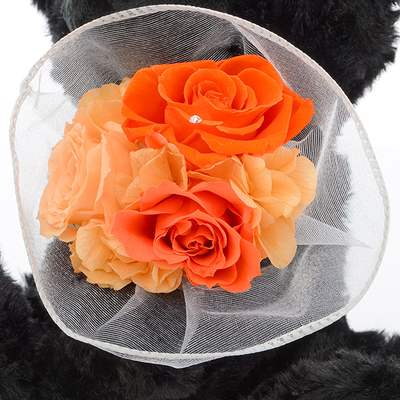 テディベア&プリザーブドフラワー ブラック オレンジ