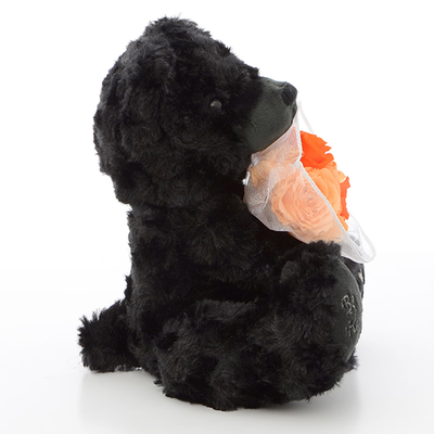 テディベア&プリザーブドフラワー ブラック オレンジ