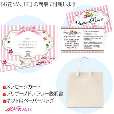 テディベア&プリザーブドフラワー ブラック オレンジ