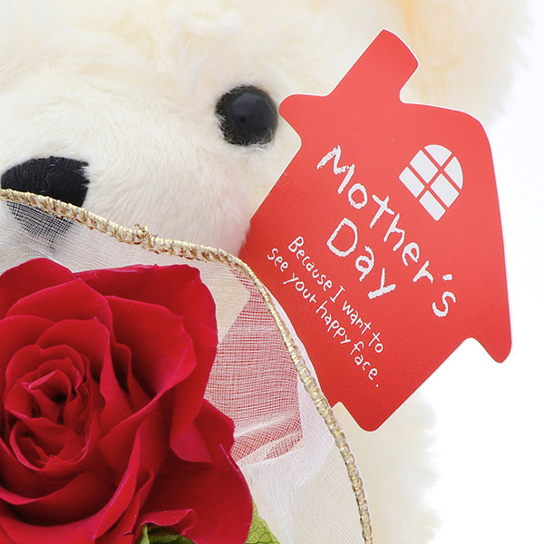 母の日 プリザーブドフラワーテディ  レッド