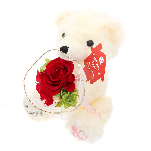 母の日 プリザーブドフラワーテディ  レッド