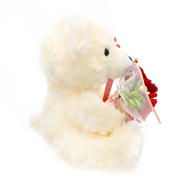 母の日 プリザーブドフラワーテディ  レッド