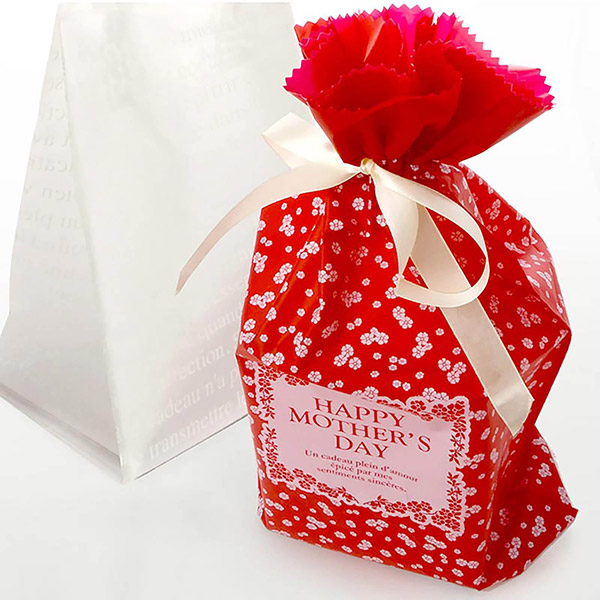 母の日 プリザーブドフラワーテディ  レッド